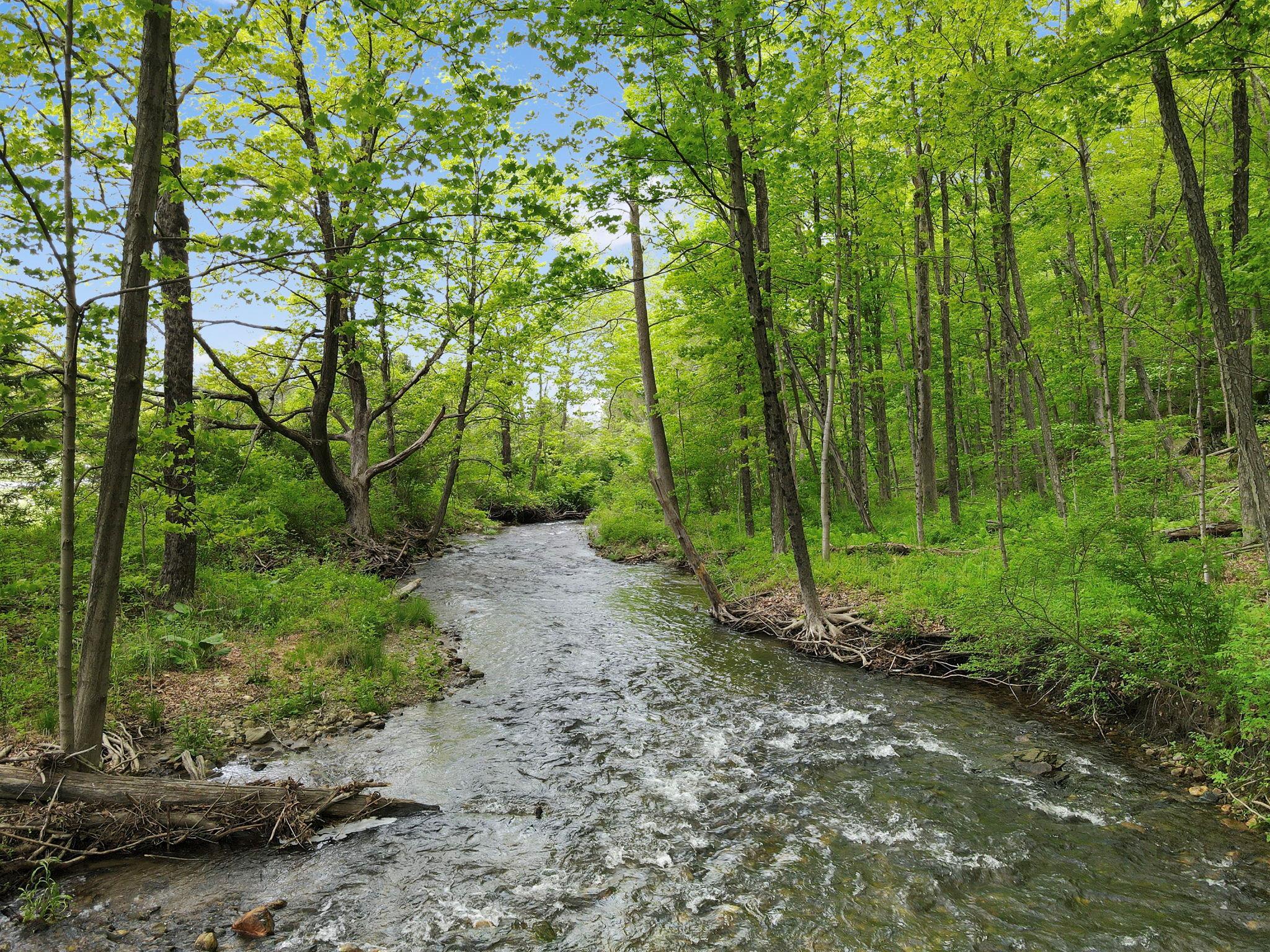 Property Photo: 6843 Route 55 NY 12594