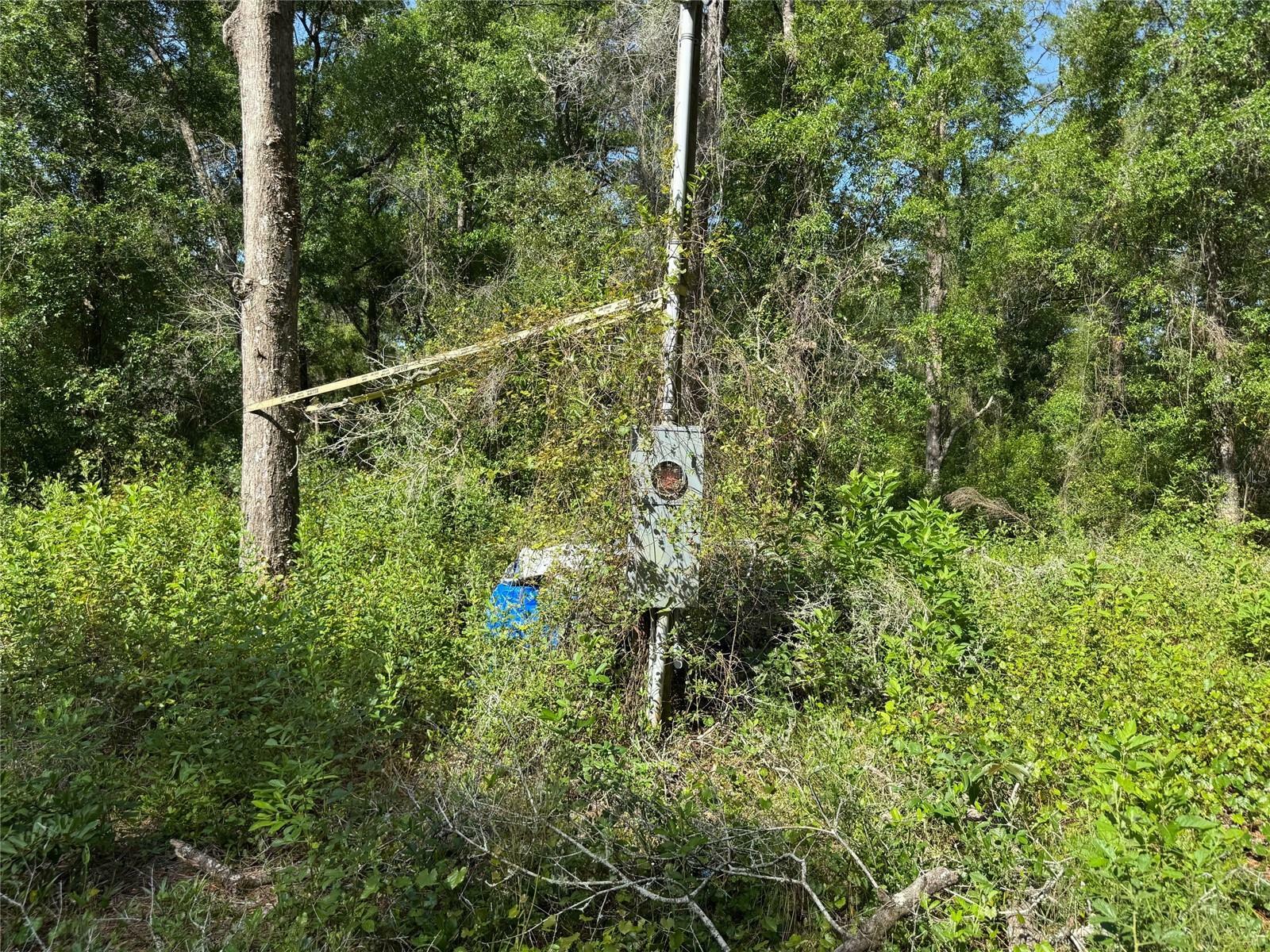 Property Photo: 10620 SW 152nd Place FL 34432