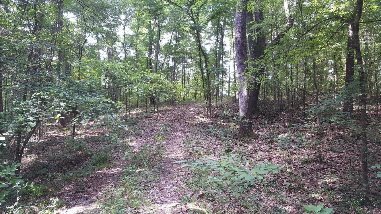 Property Photo: 0000 Rooks Dr FL 32446