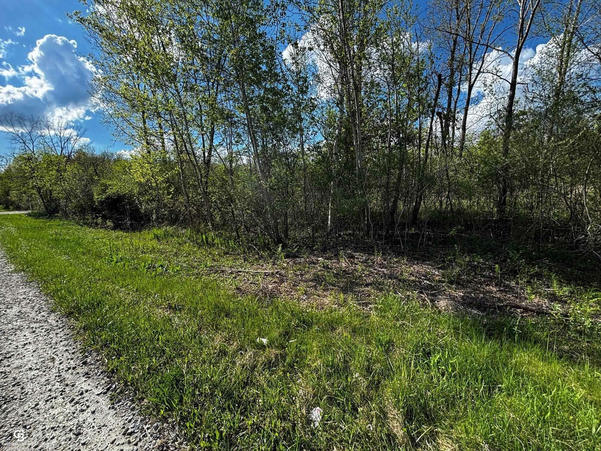 00 Howard Road  Smiths Creek MI 48074 photo