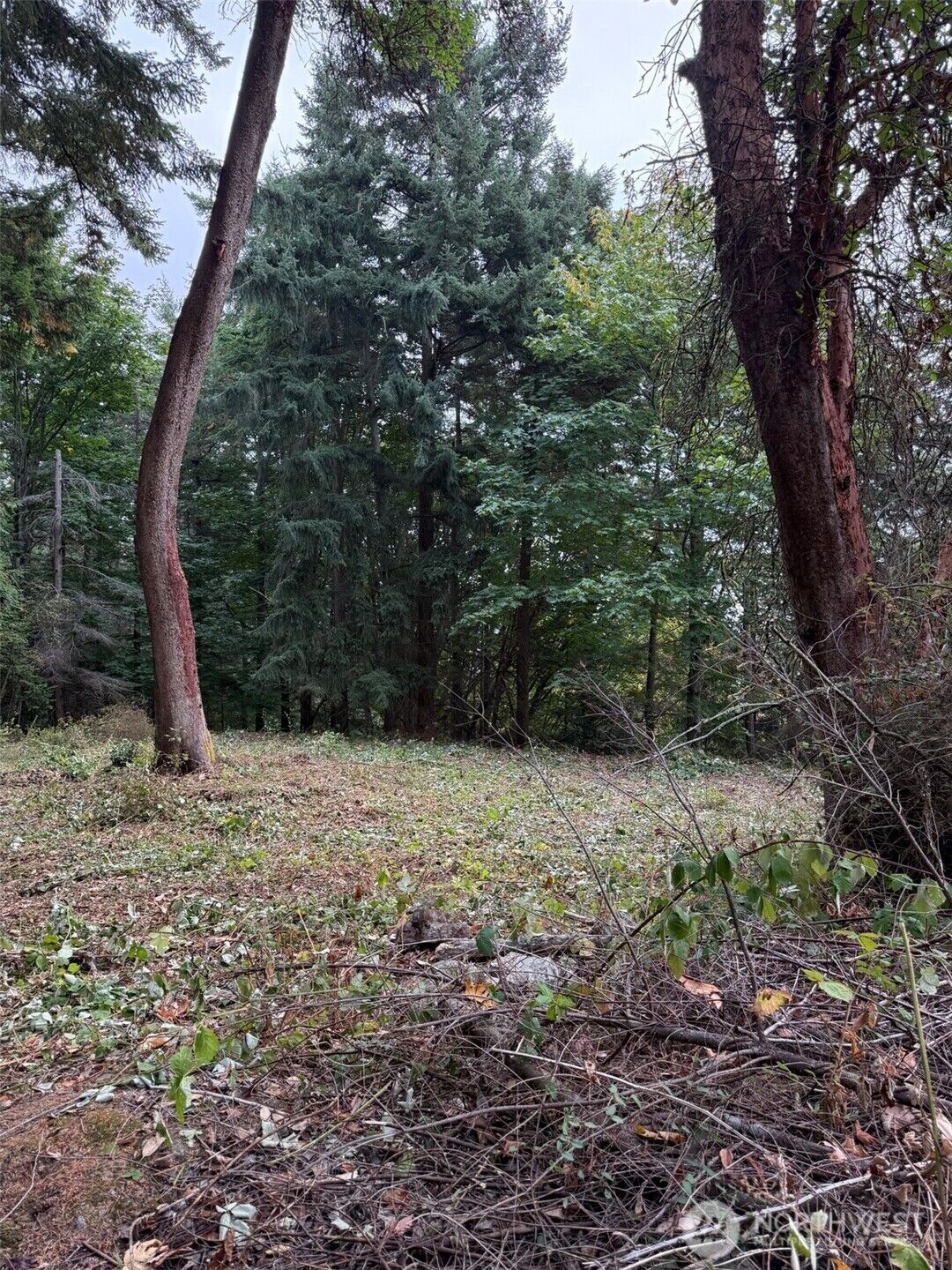 Property Photo: 0 Nhn Hummingbird Lane WA 98221