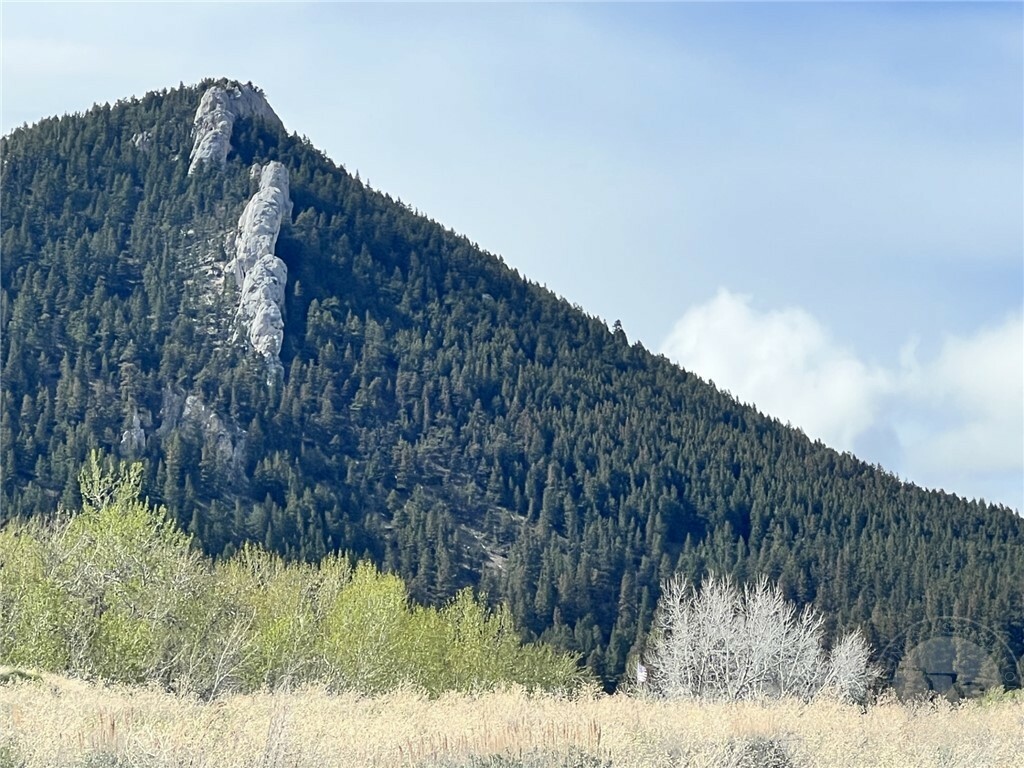 Property Photo: Lot 4 Elk Run Drive MT 59068