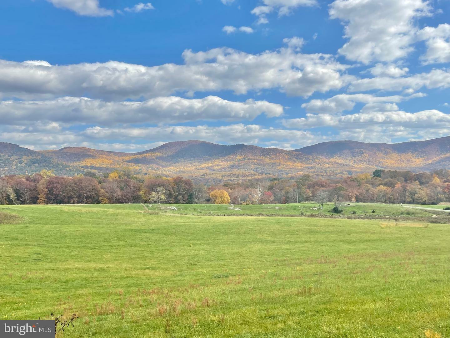 Property Photo: Lot 63C Buck Mountain Road VA 22610