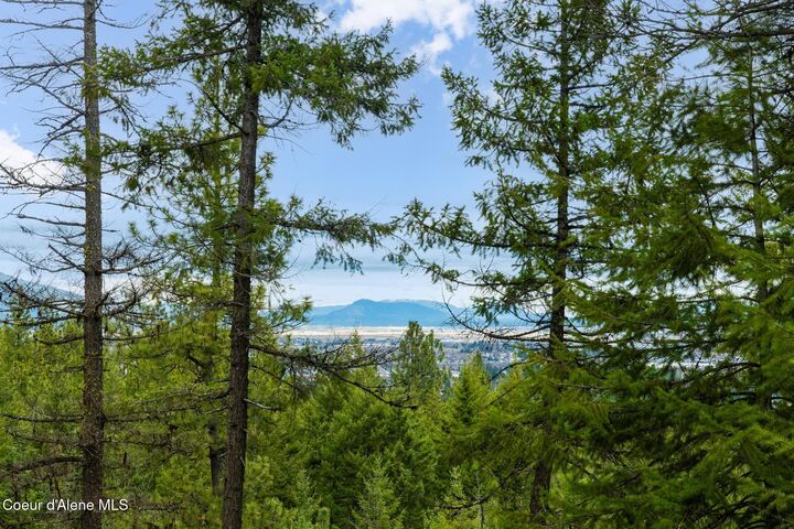 Property Photo:  Nka 56 Acres Tanglewood Dr  ID 83854 