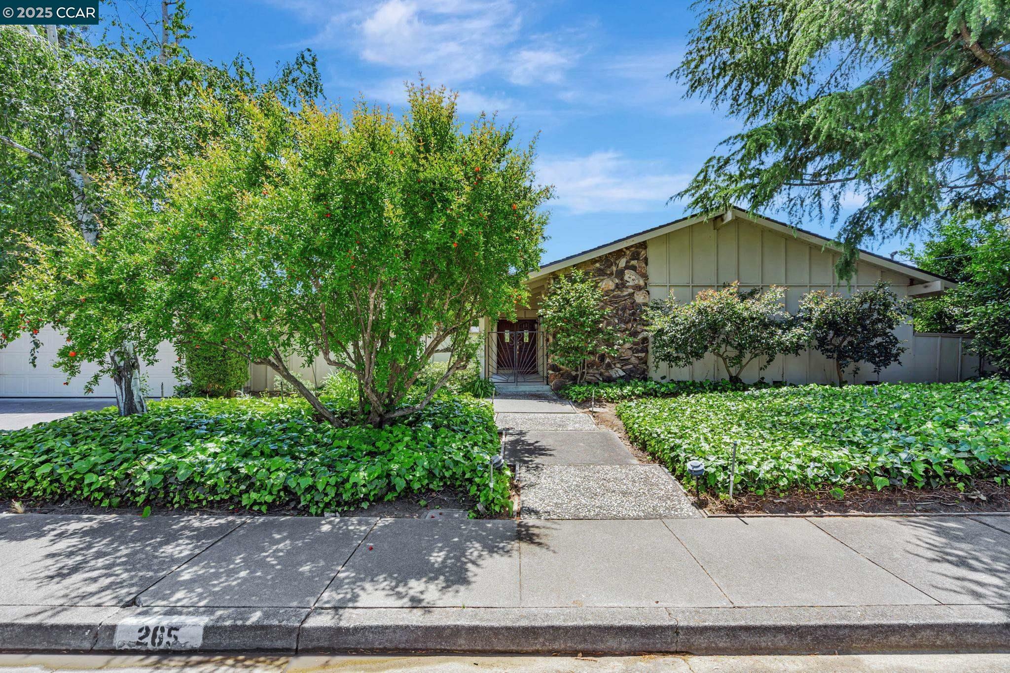 265 Dover Dr  Walnut Creek CA 94598 photo