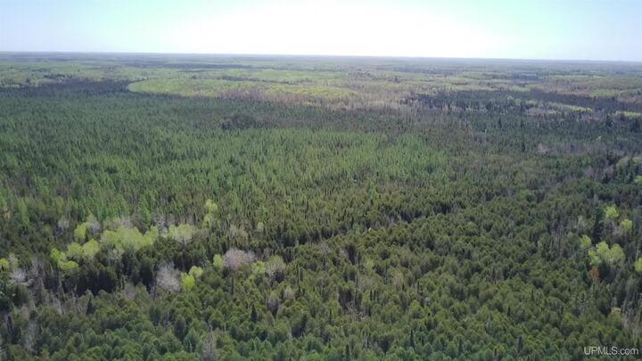 Property Photo:  Tbd Sg Road  MI 49831-0000 