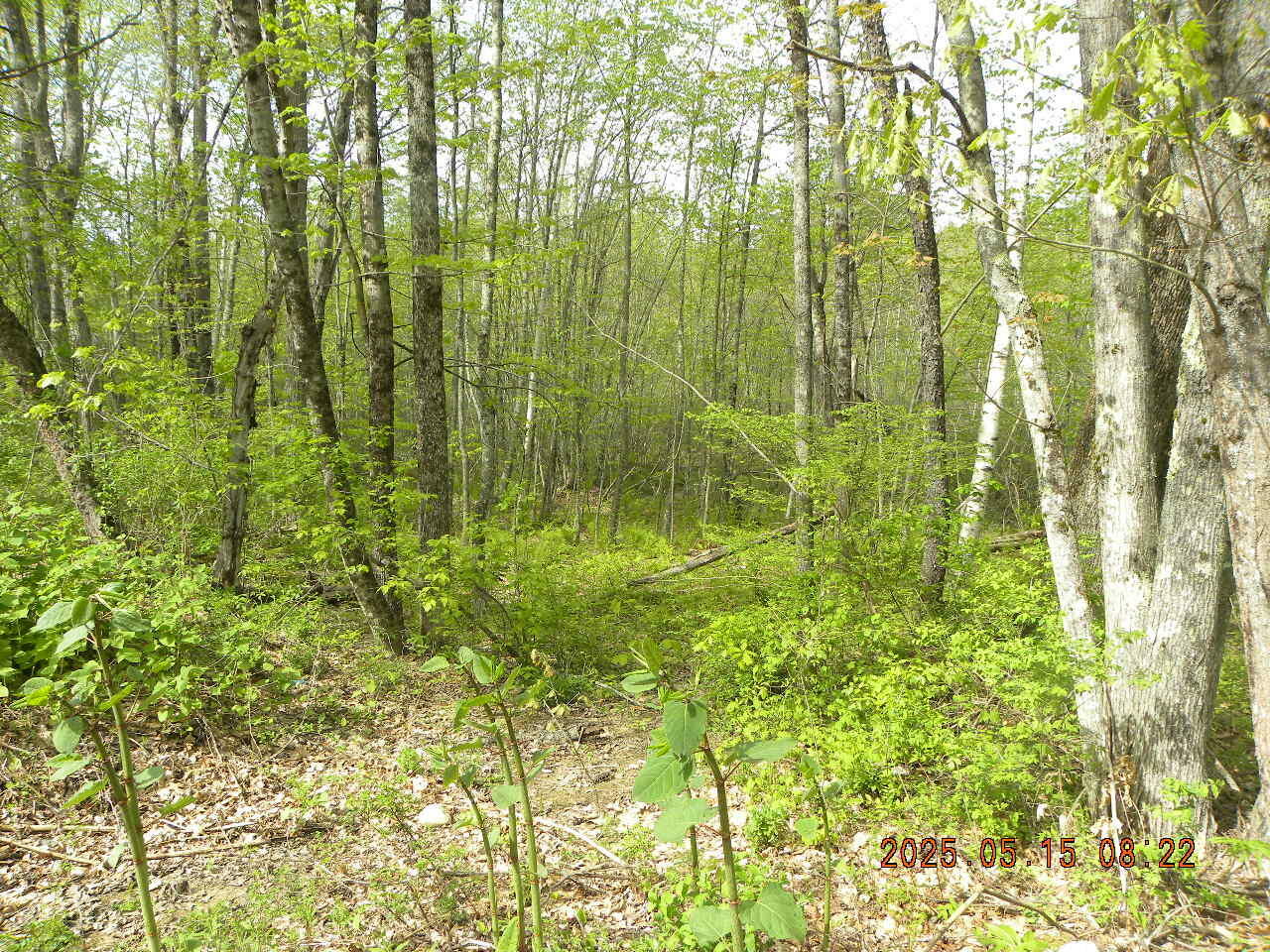 Property Photo: Lot 35 Bennett Road ME 04002
