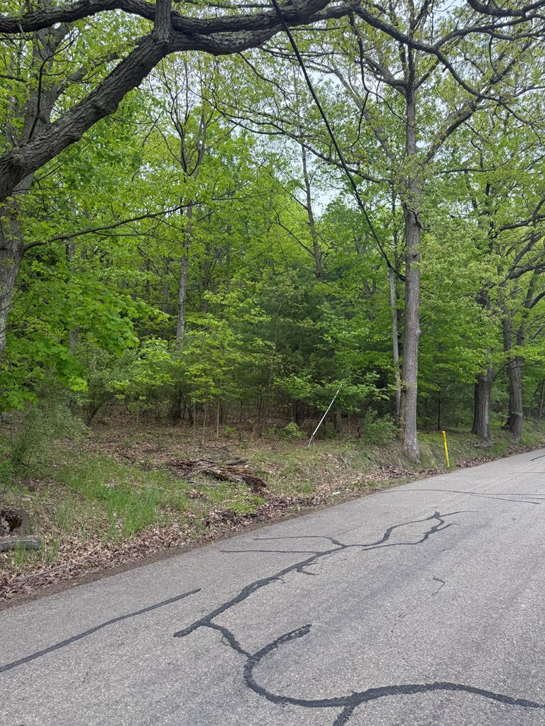 Property Photo: 0 Orange Hill Rd PA 18810