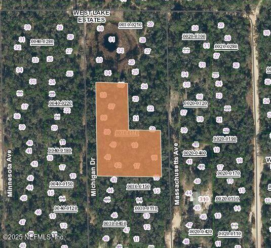 Property Photo: Lot 0 Michigan Drive FL 32640