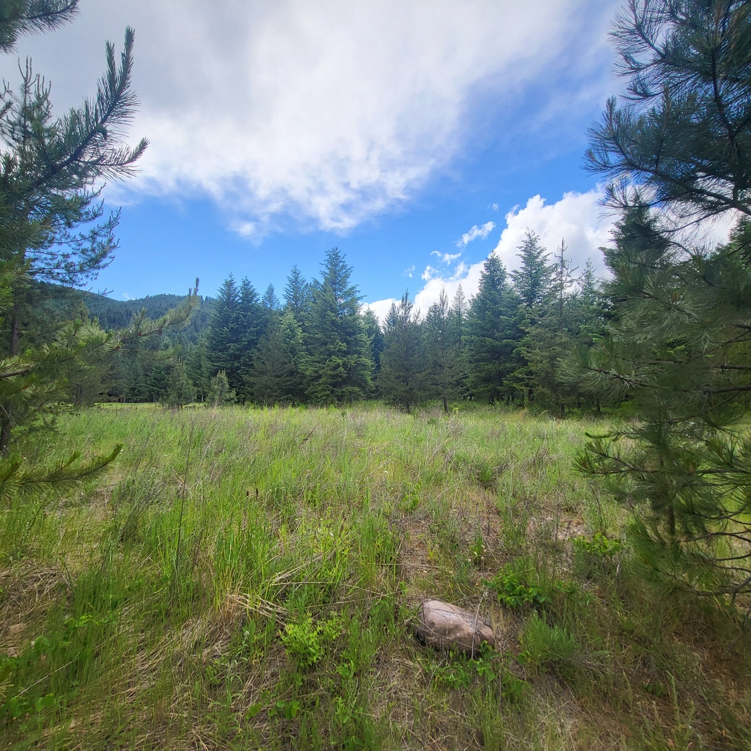 Property Photo: Nhn Fairview Drive MT 59866