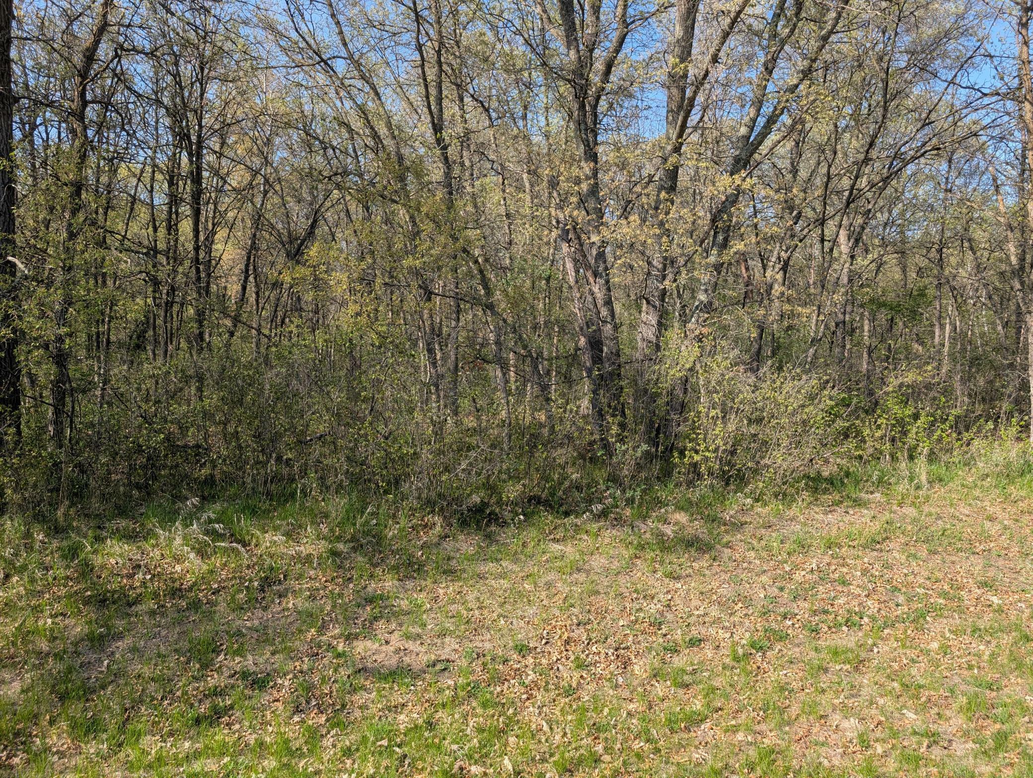 Property Photo: Tbd Arbor Lane SW MN 56473