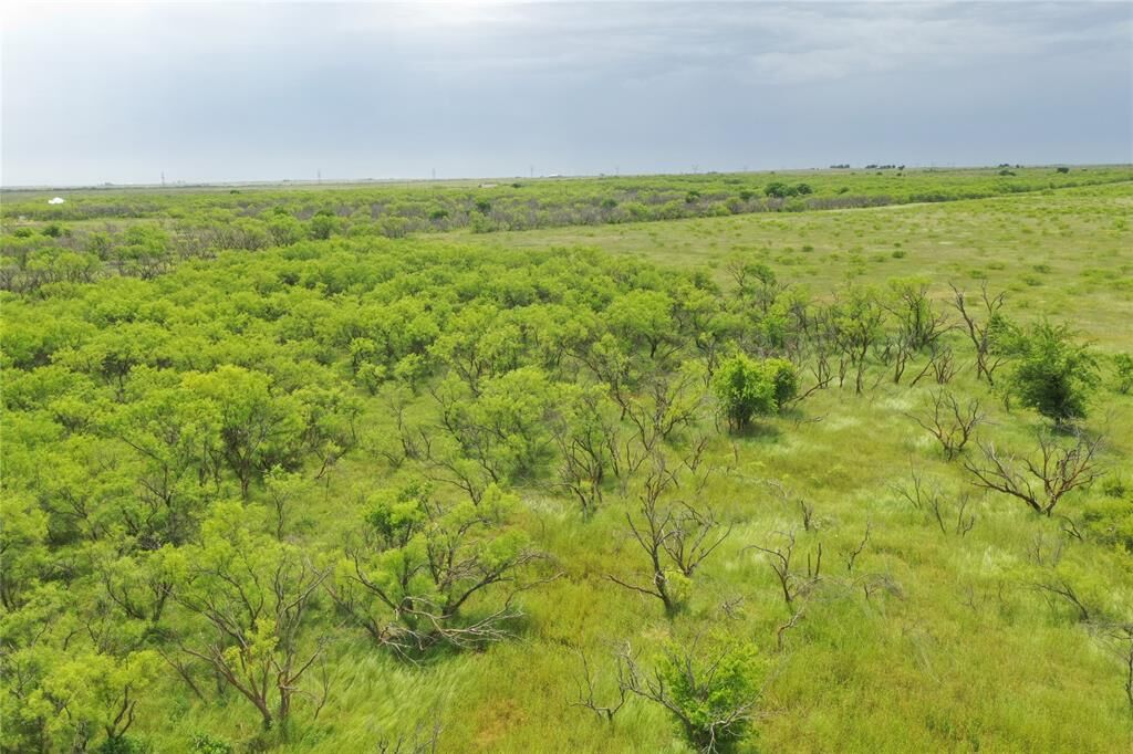 Property Photo:  Tbd Fm 2321 Tract 2  TX 76228 