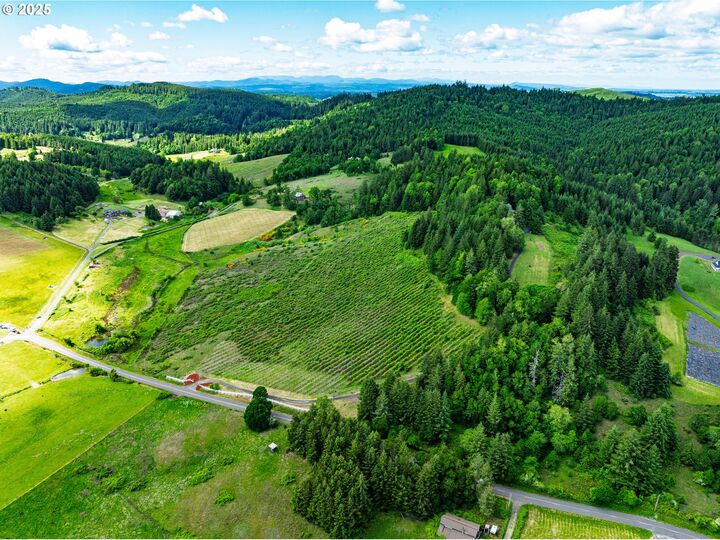 Property Photo: 27161 Briggs Hill Rd OR 97405
