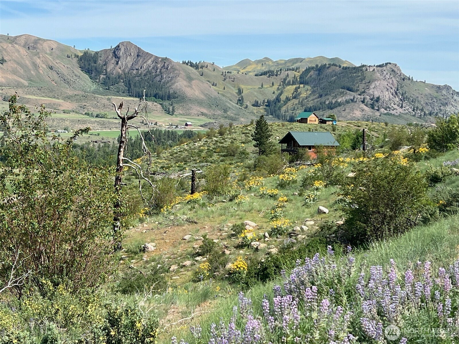 Property Photo: 41 Red Tail Ridge Road WA 98856