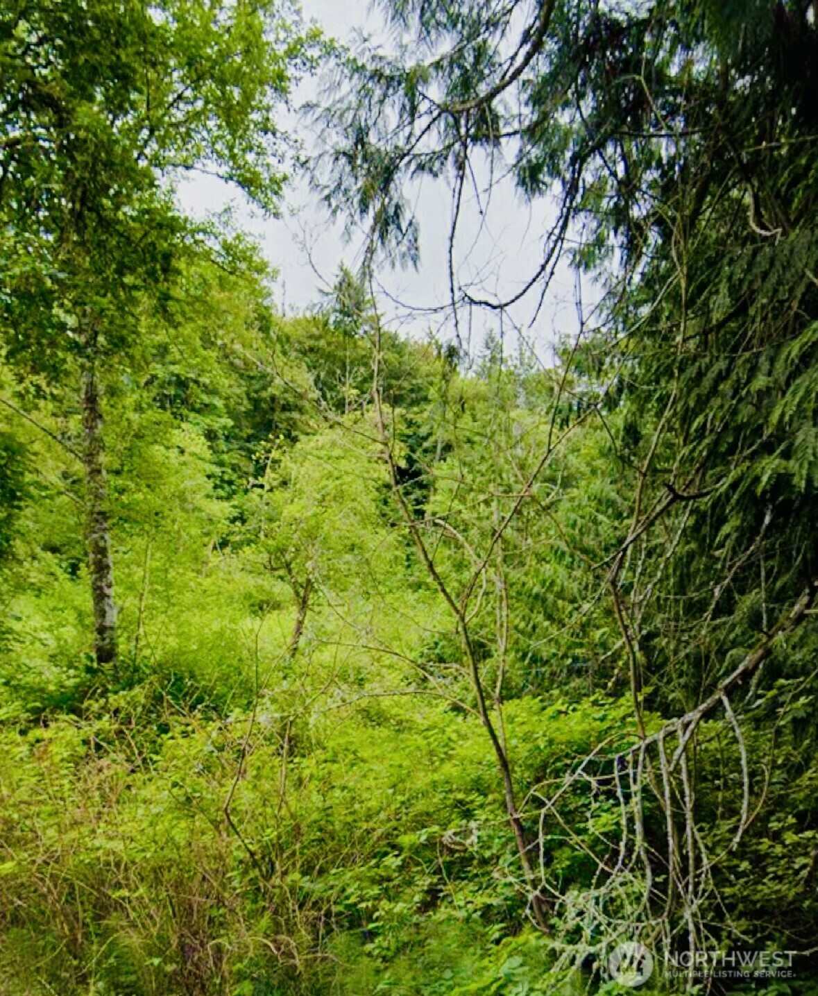 Property Photo: 8 Xx 201st Avenue SE WA 98075