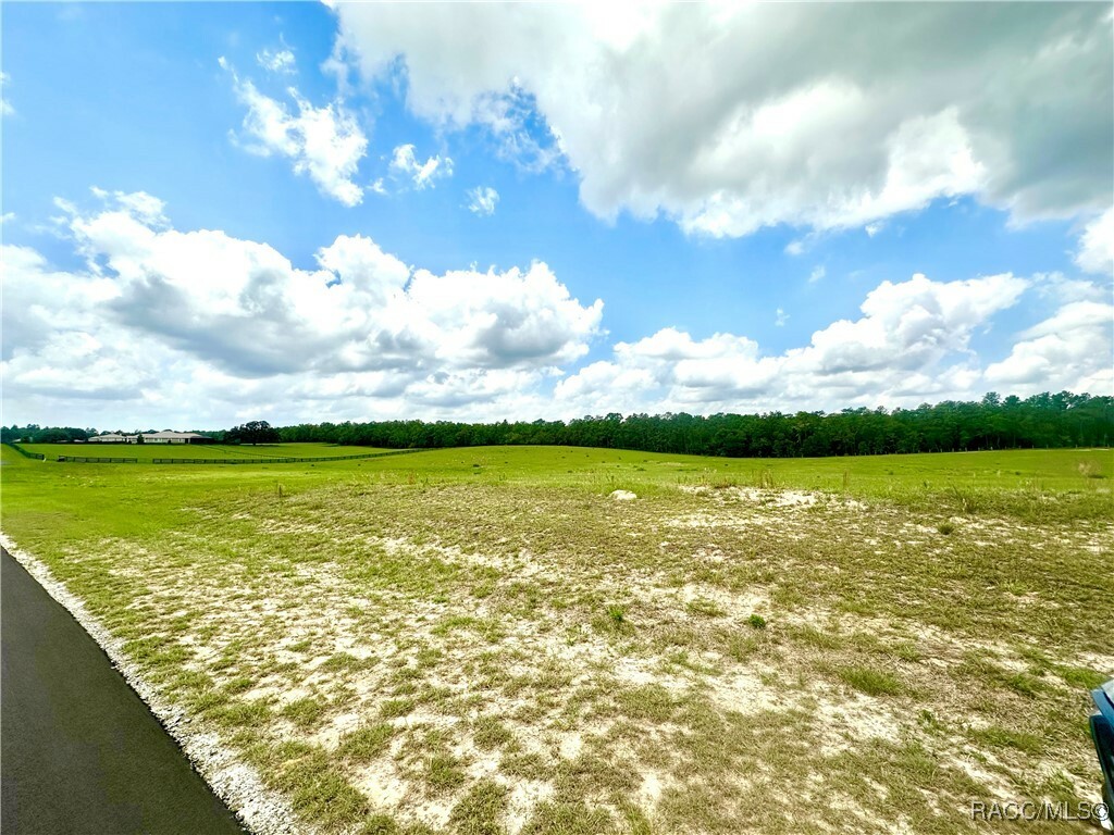 Property Photo:  11230 S Brightstar Avenue  FL 34436 