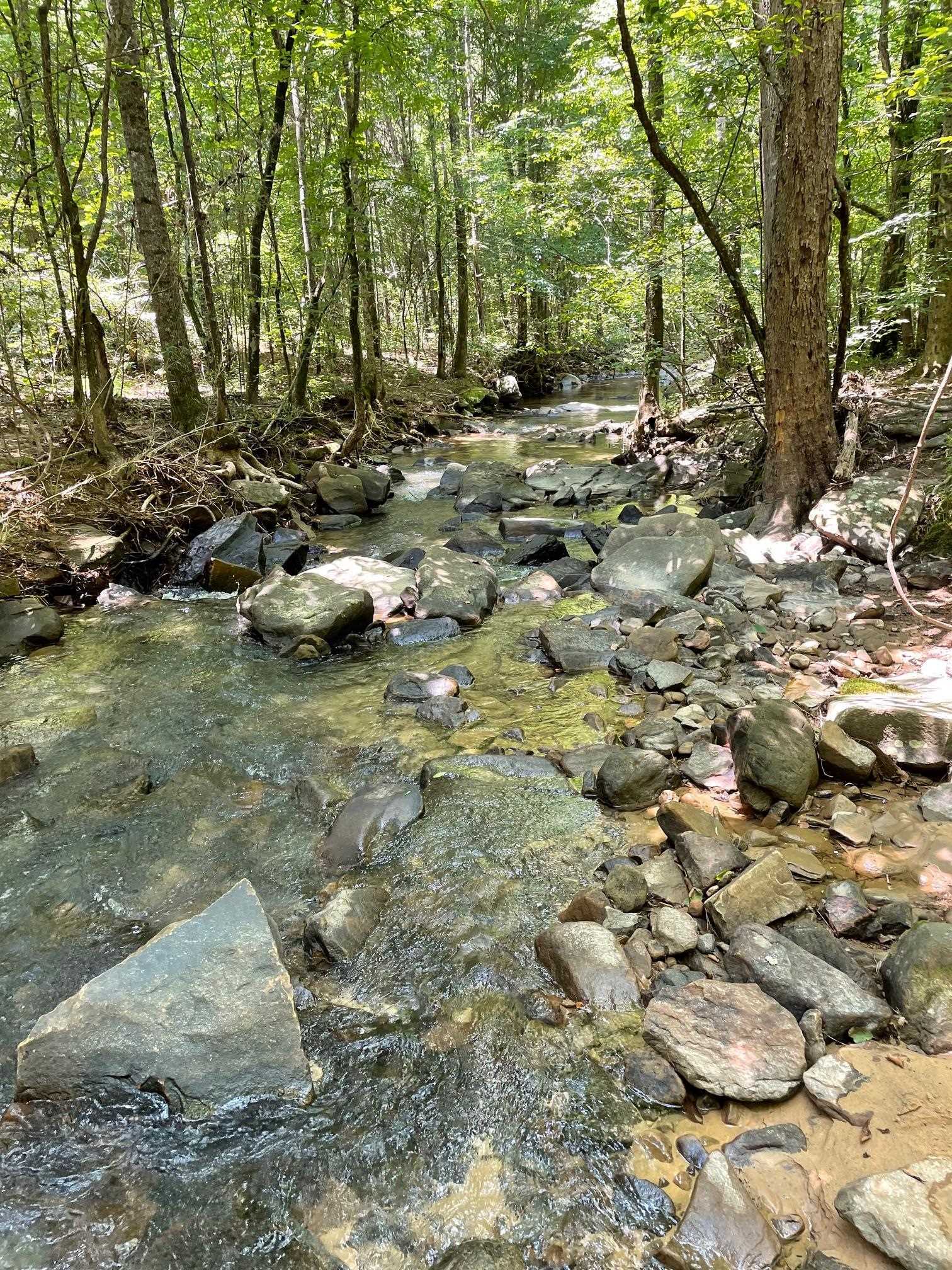 Property Photo: 1718 County Hwy 5 AL 35079 - HAYDEN