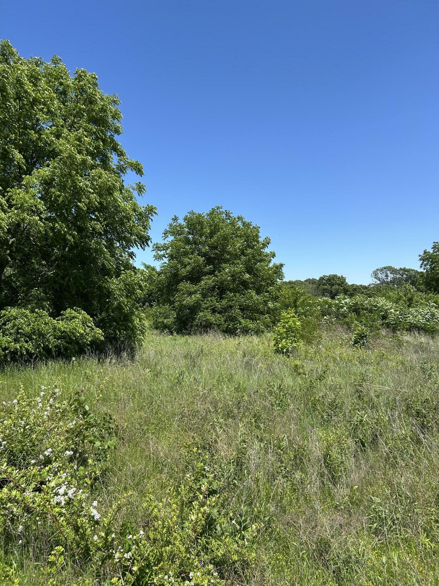 Property Photo: 10685 S 1215 Road MO 65785