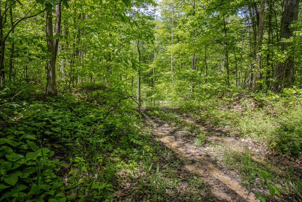 Property Photo: 0 Kinzer Road OH 45612