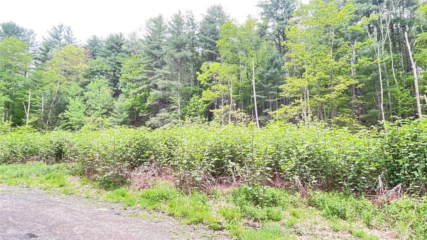 Property Photo: 33 E Maine Road NY 13790