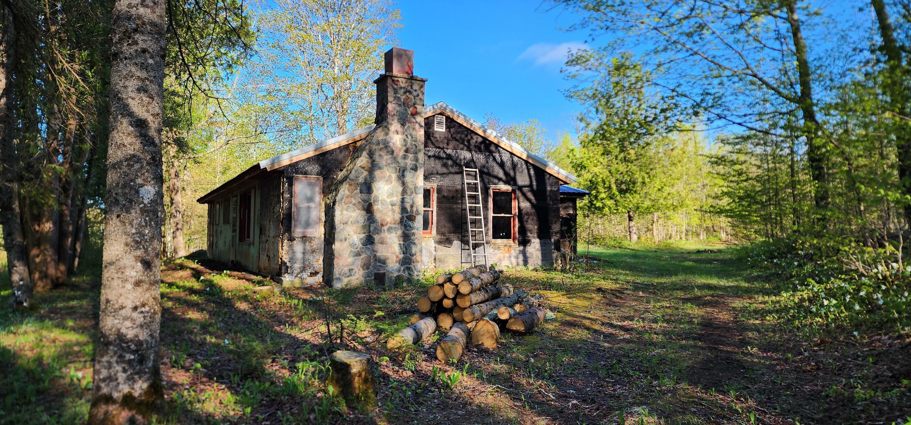 Property Photo:  E4692 E Simmons Rd  MI 49774 