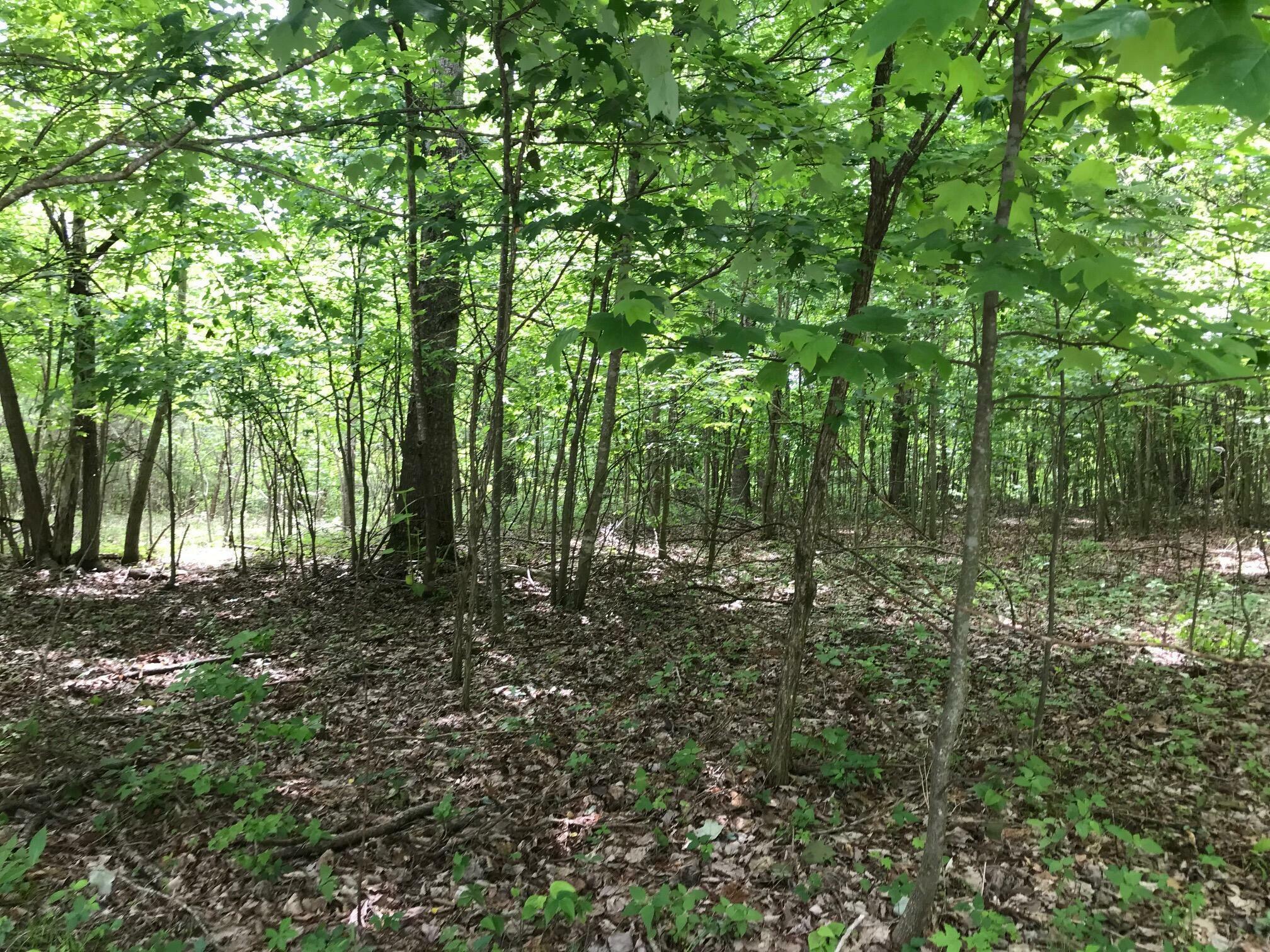Property Photo: Lot 512 Wilderness Way TN 37327