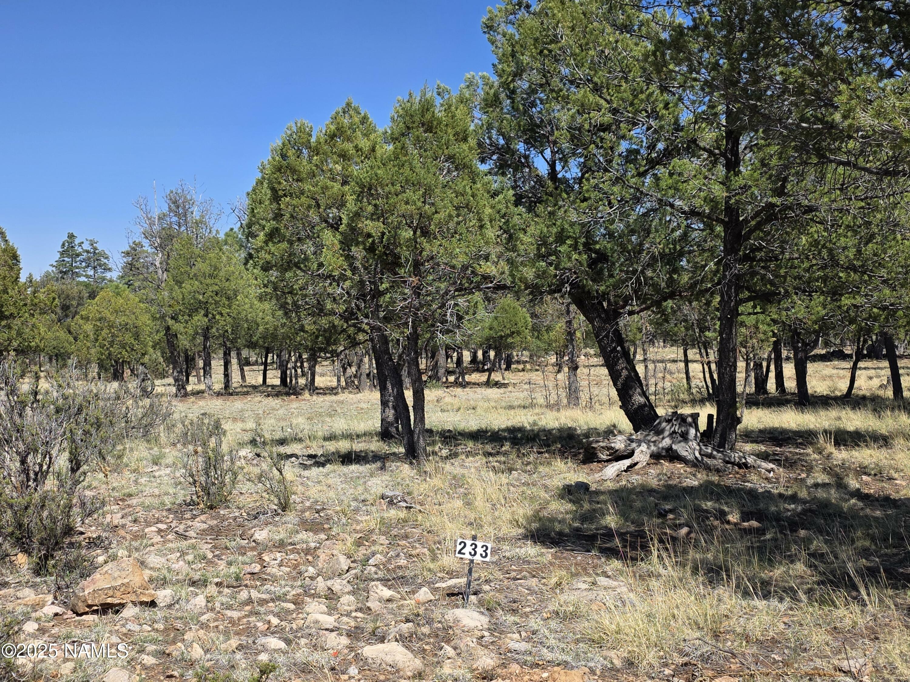 Property Photo:  3874 Durango Drive  AZ 86024 