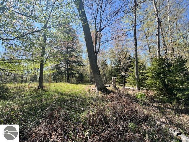 Property Photo: 000 Flees Road MI 49670