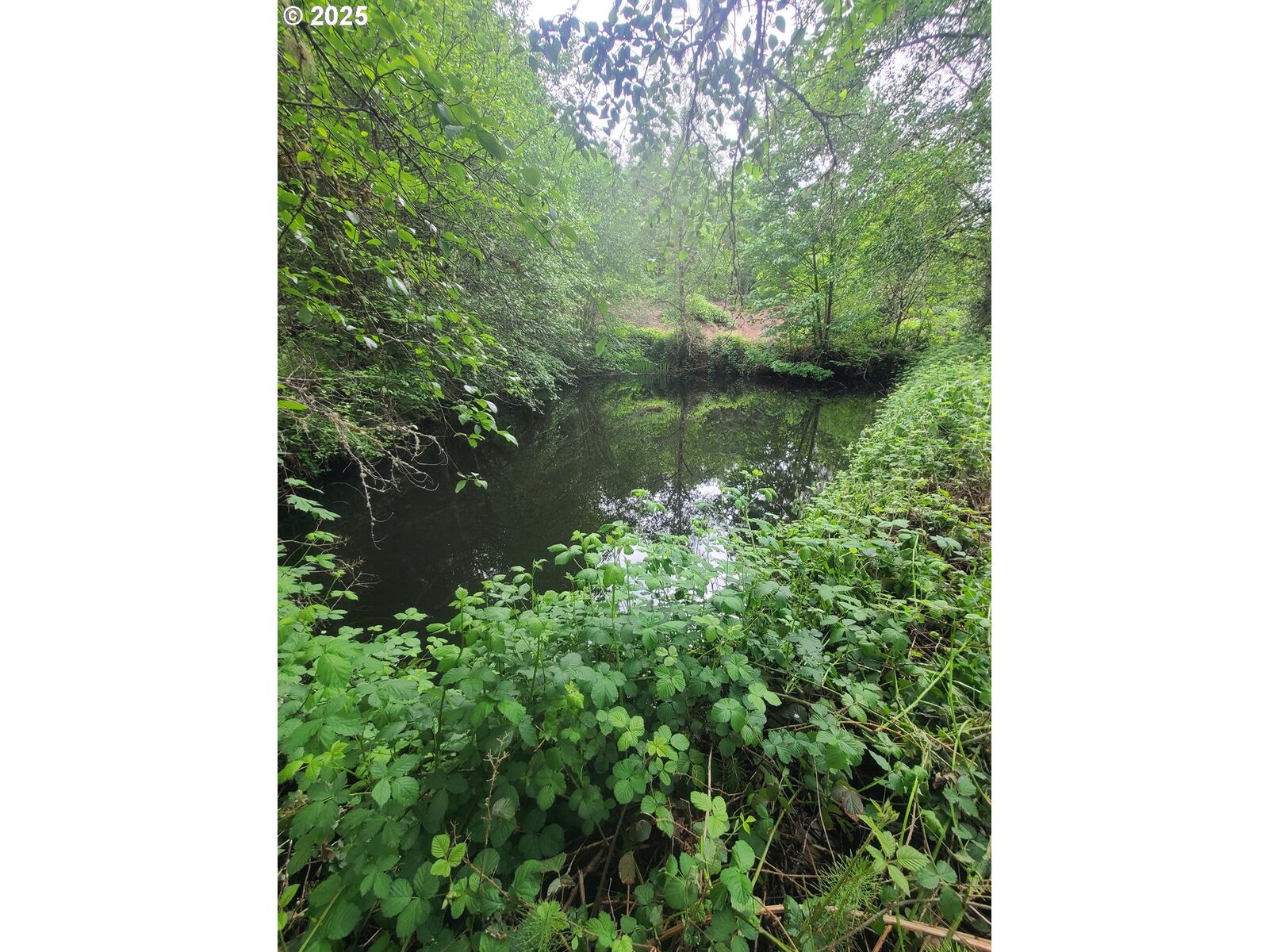 Property Photo: 300 Dahlman Road WA 98611