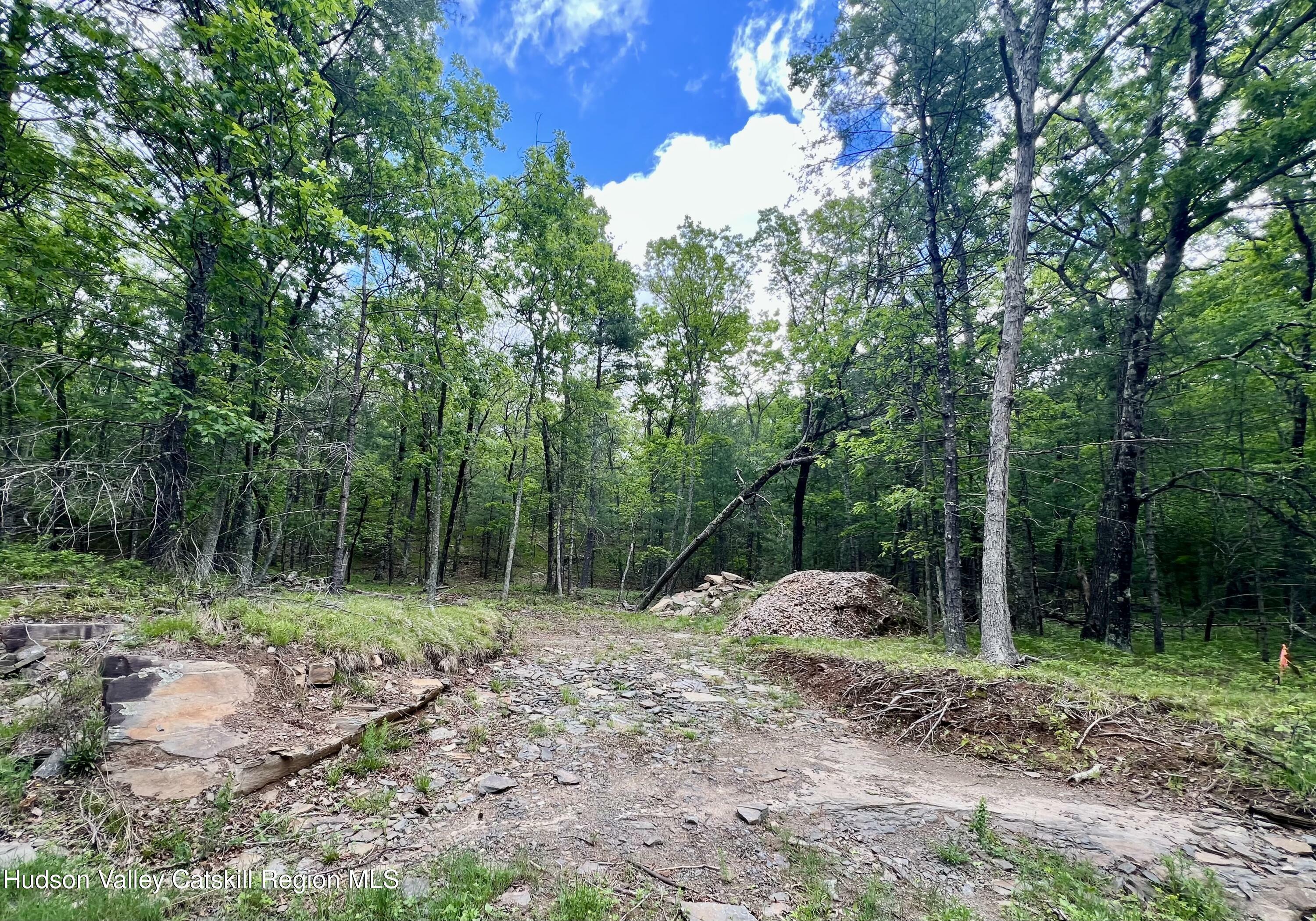 Property Photo: Tbd Ny-28A NY 12491