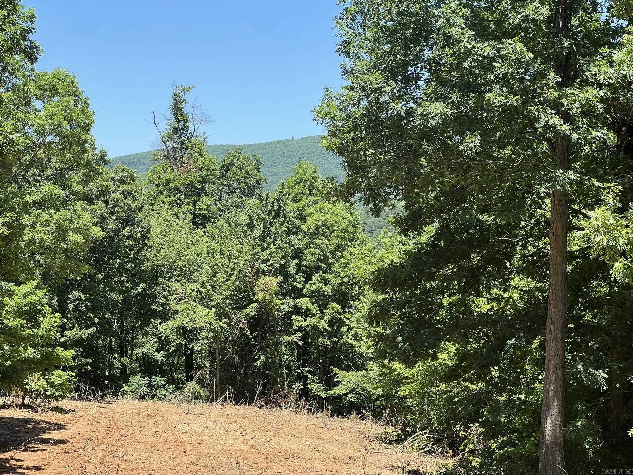 Property Photo: Unk County Road 720 AR 71953