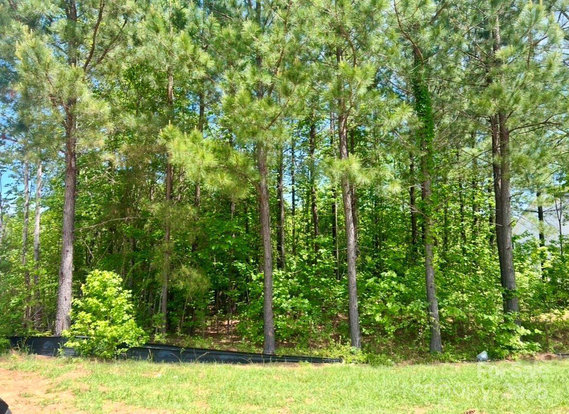 Property Photo: 133 Addison Emory Lane 18 NC 28115