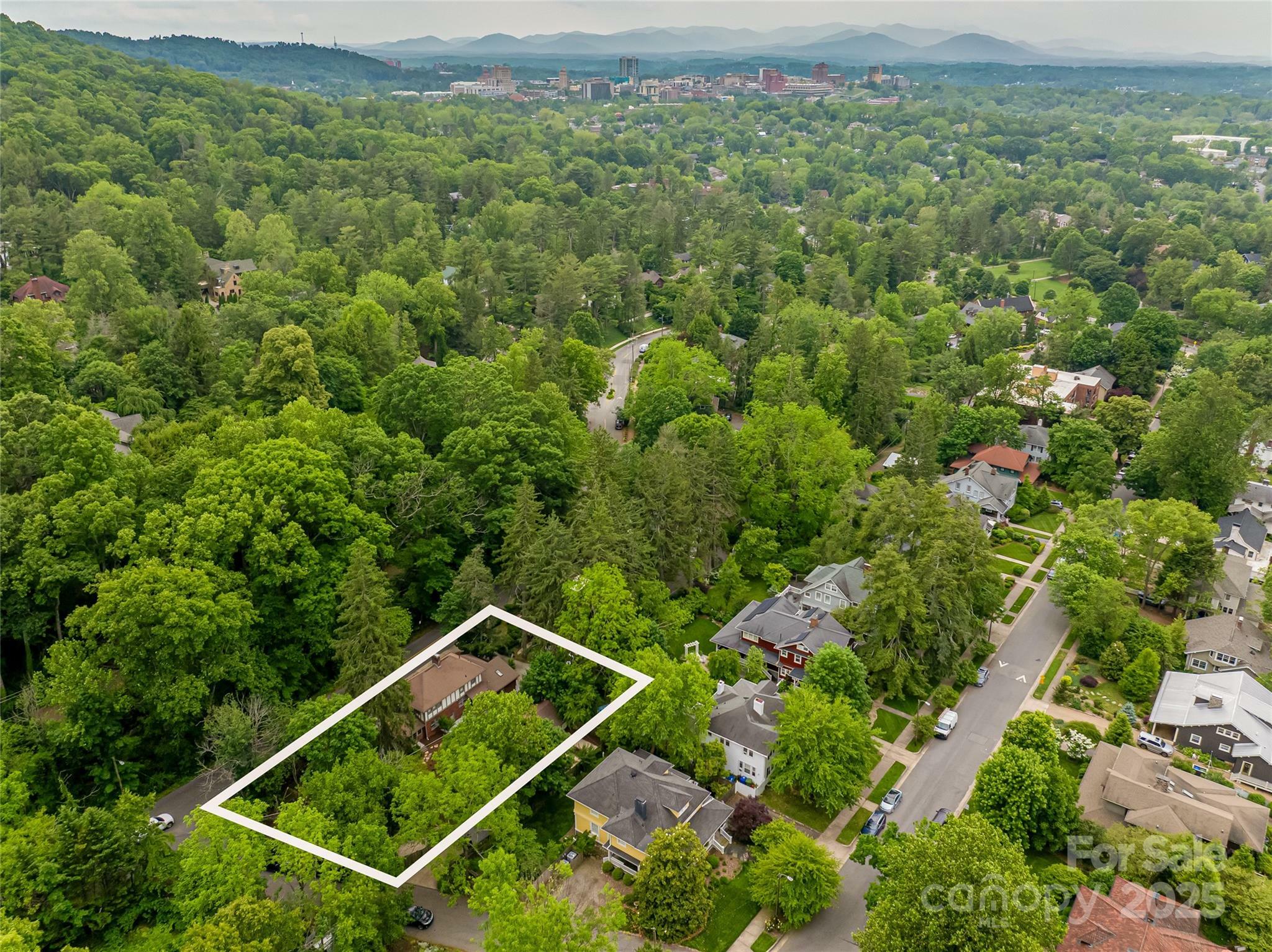 Property Photo: 118 Macon Avenue NC 28801