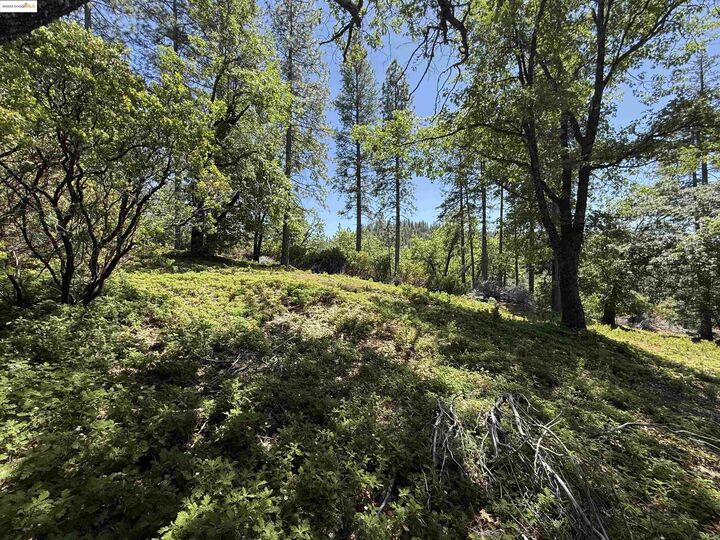 Property Photo:  0000 Forest Service Road 3N50  CA 95370 