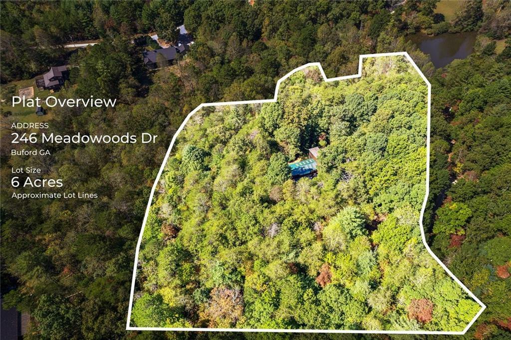 Property Photo: 246 Meadowoods Drive Drive GA 30560