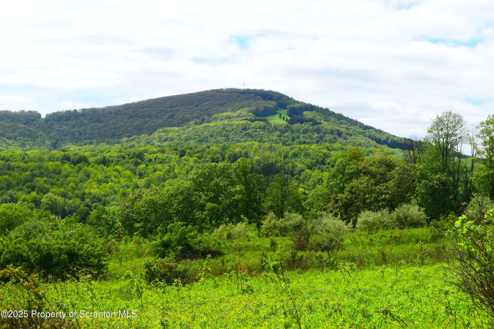 Property Photo:  Lyon Street  PA 18470 