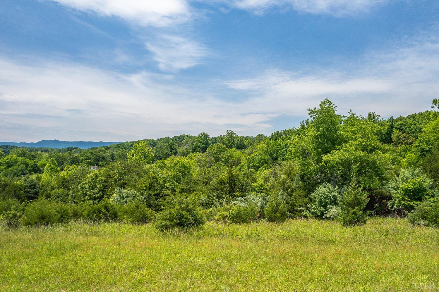Property Photo: 0 Meadow Grove Drive VA 24550