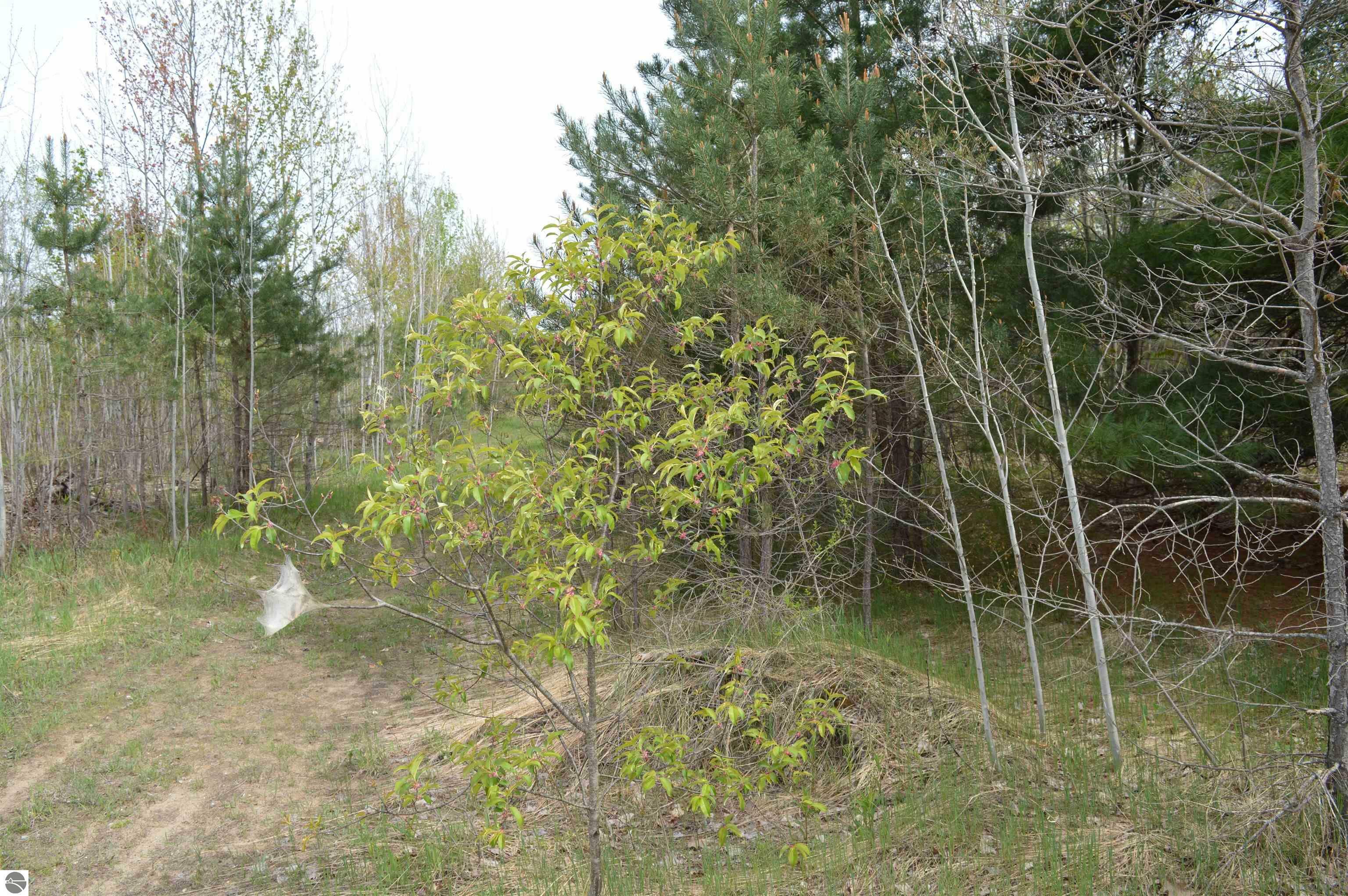 Property Photo: Spencer Road MI 49646