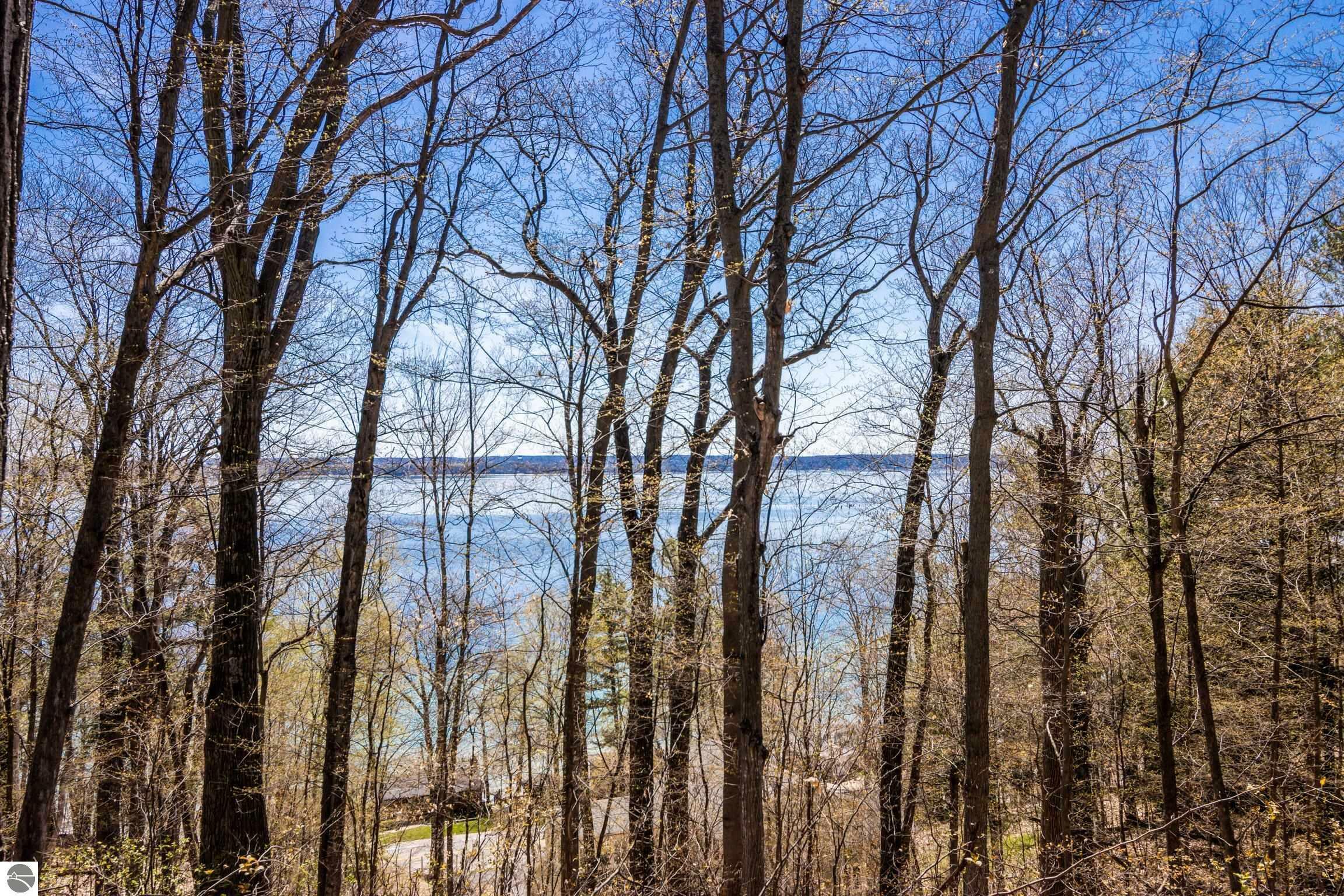 Property Photo: Lot 21 Moonrise Court Lot 21 Plus Adjacent Lot MI 49686