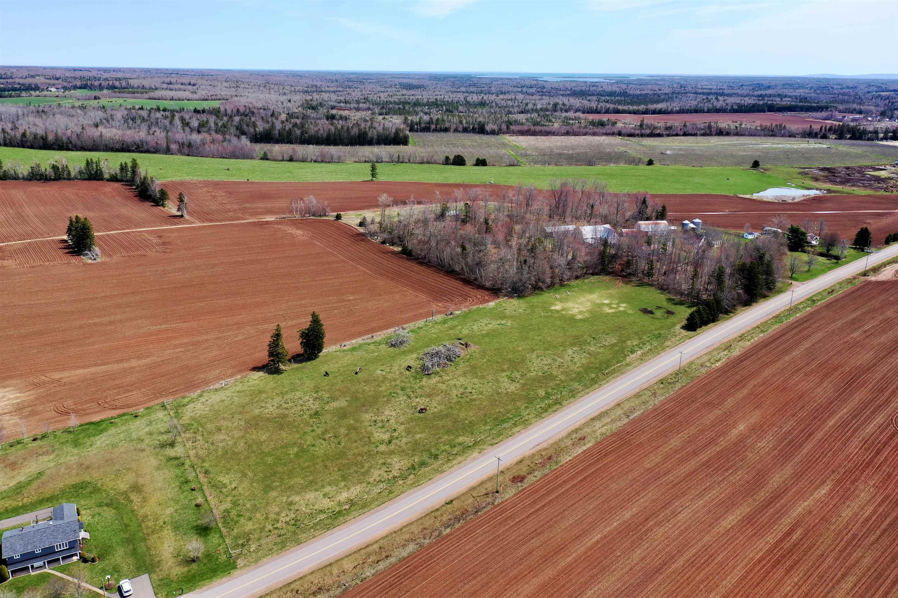 Property Photo: Acreage Dover Road PE C0A 1W0