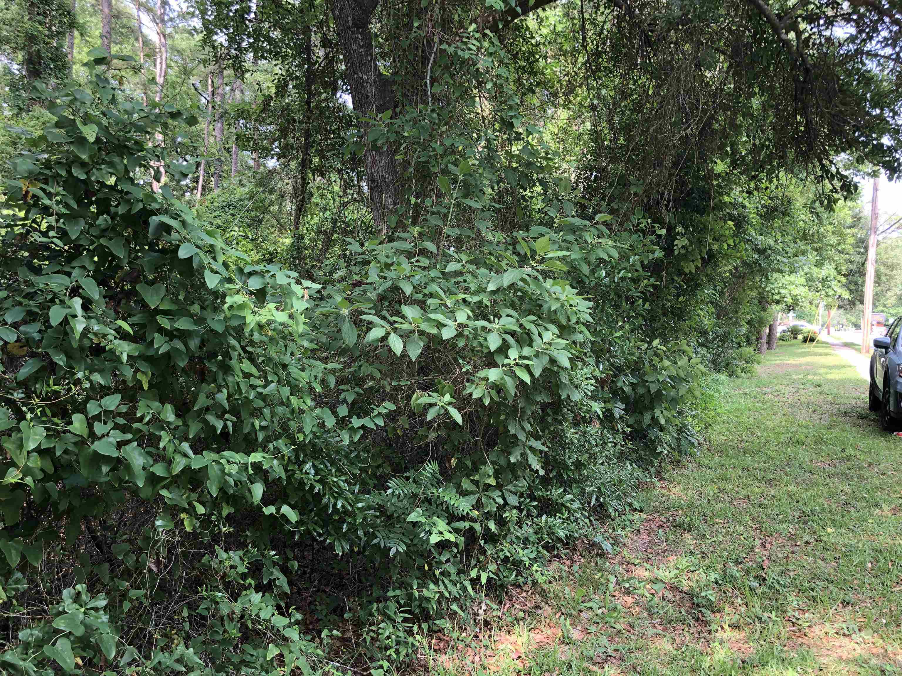 Property Photo: 00 Henderson Road FL 32312