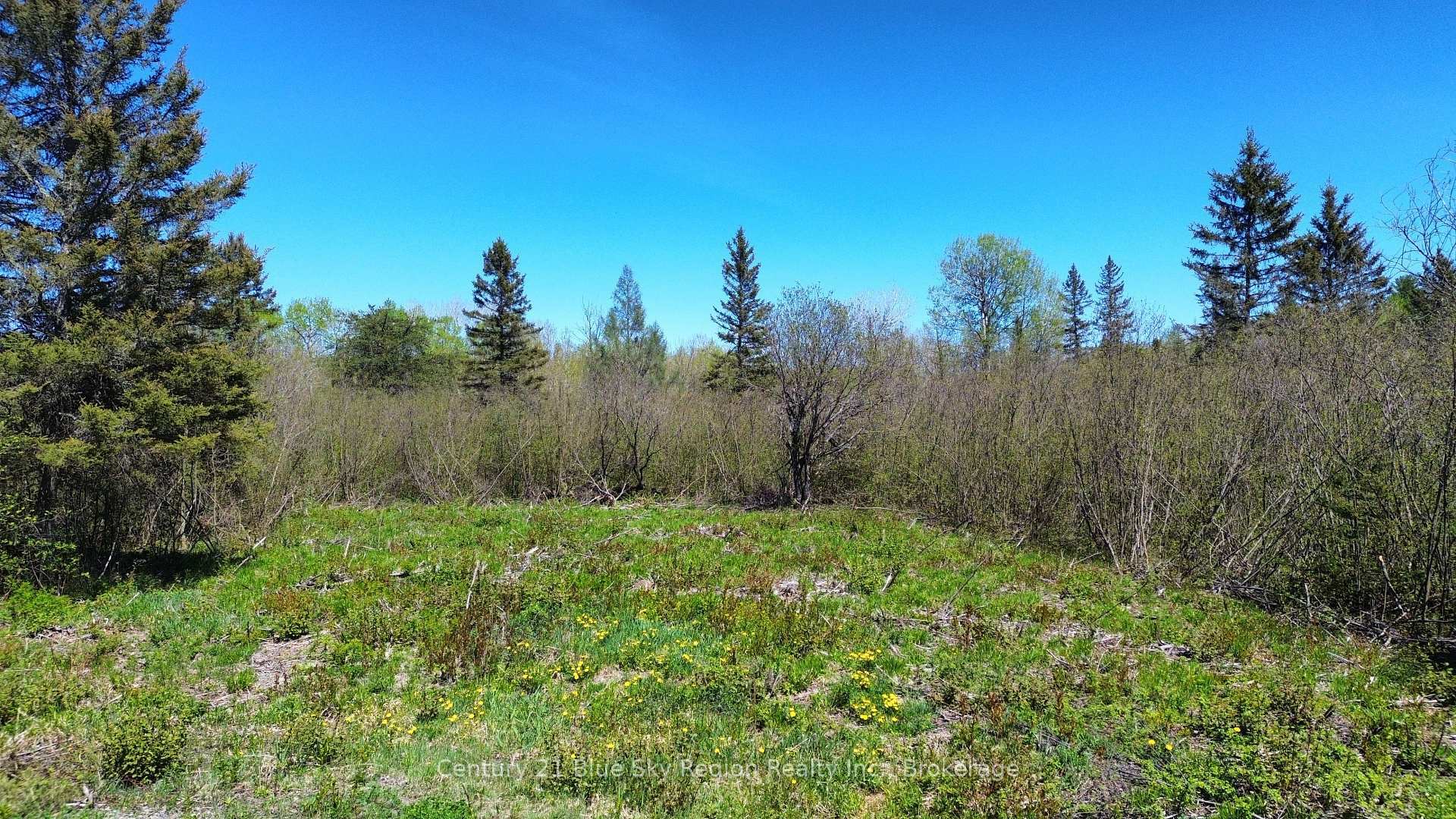 Photo de la propriété:  106 De La Montee Road  ON P0H 2M0 