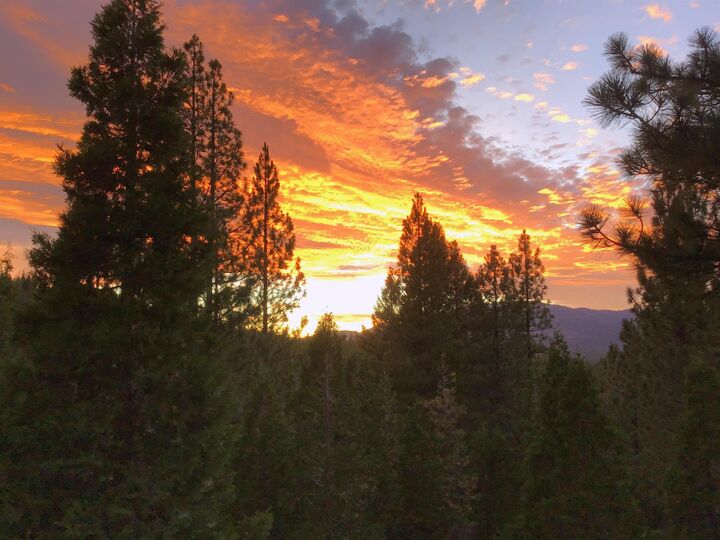 Property Photo:  238 Clouds Rest  CA 96122 