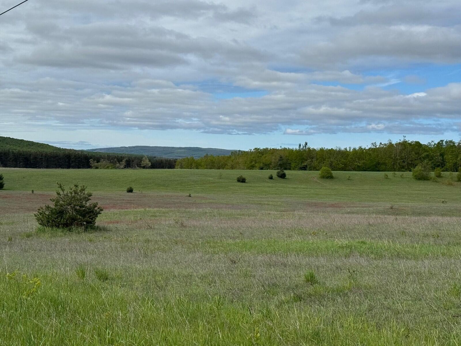 Property Photo: Nichols Road MI 49769