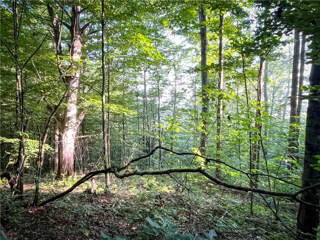 Property Photo: Williams Road NY 13743