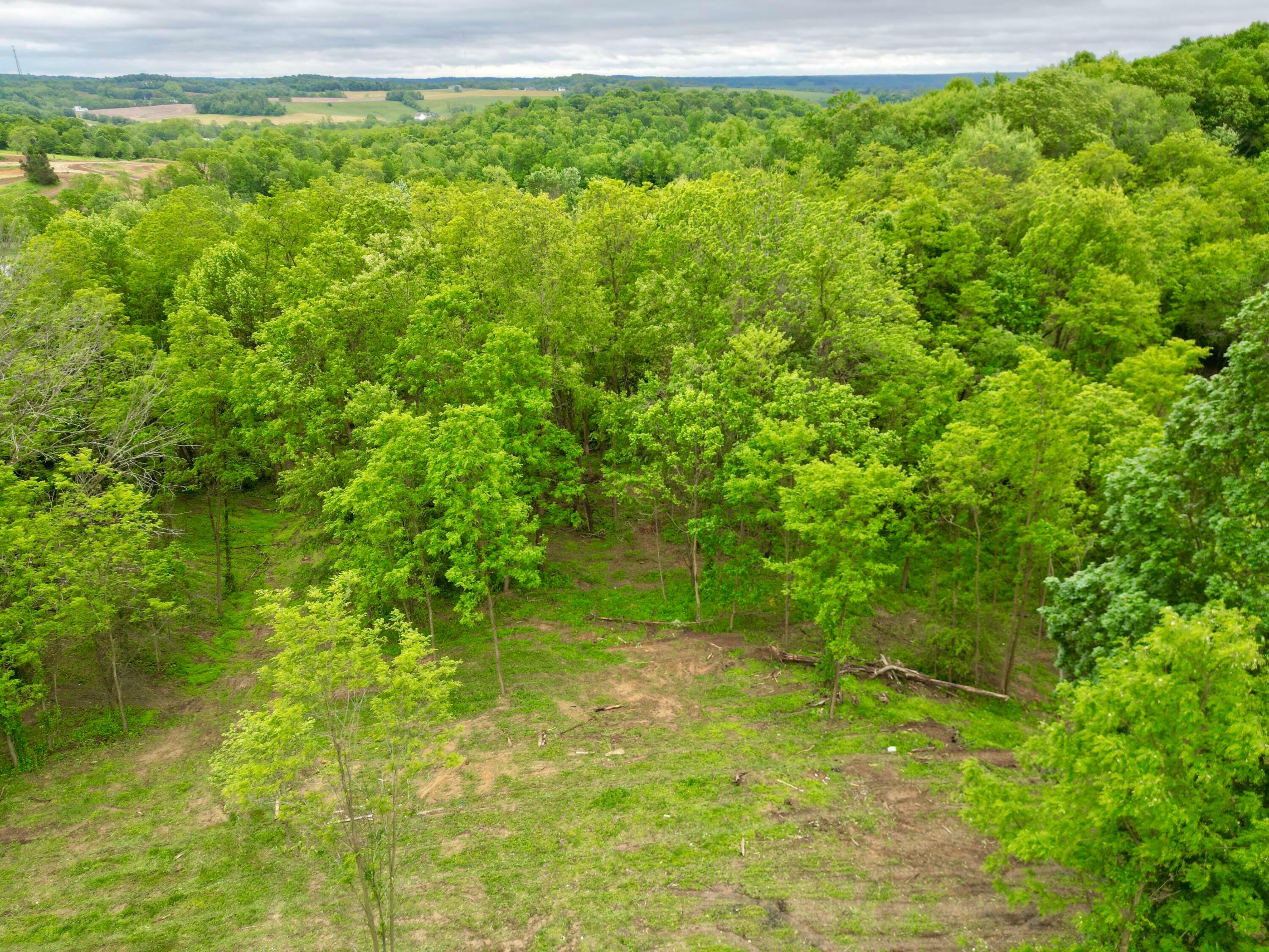 Property Photo: 10100 Honda Hills Road OH 43076