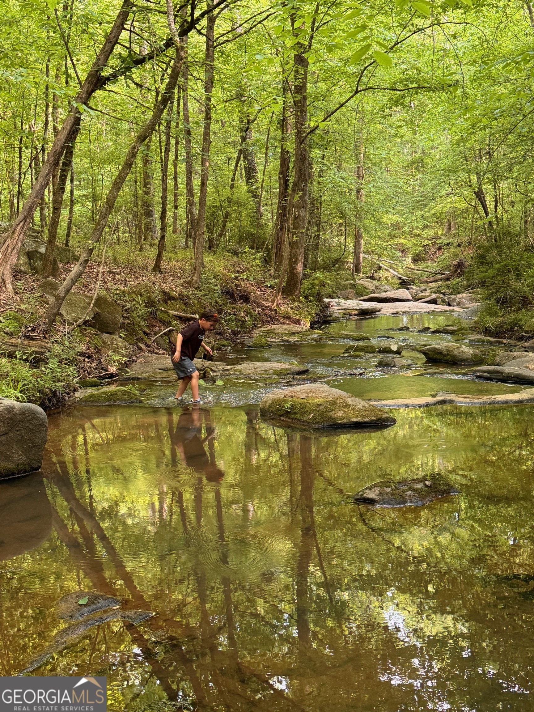 Property Photo: 449 Old Indian Springs Road GA 31029