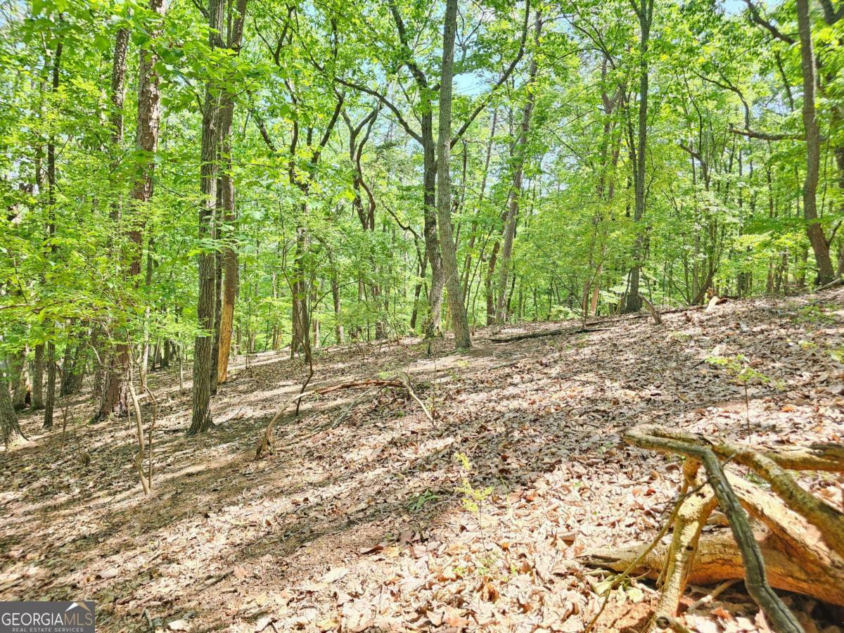 Property Photo: 0 Turnbury Lane GA 30143
