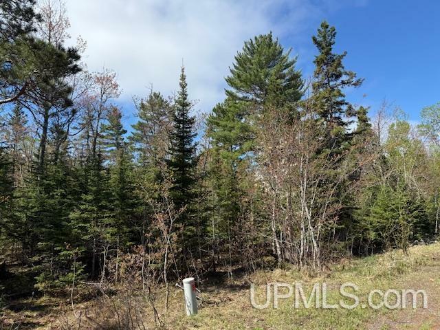 Tbd 37 Harbor Coast Lane  Copper Harbor MI 49918 photo