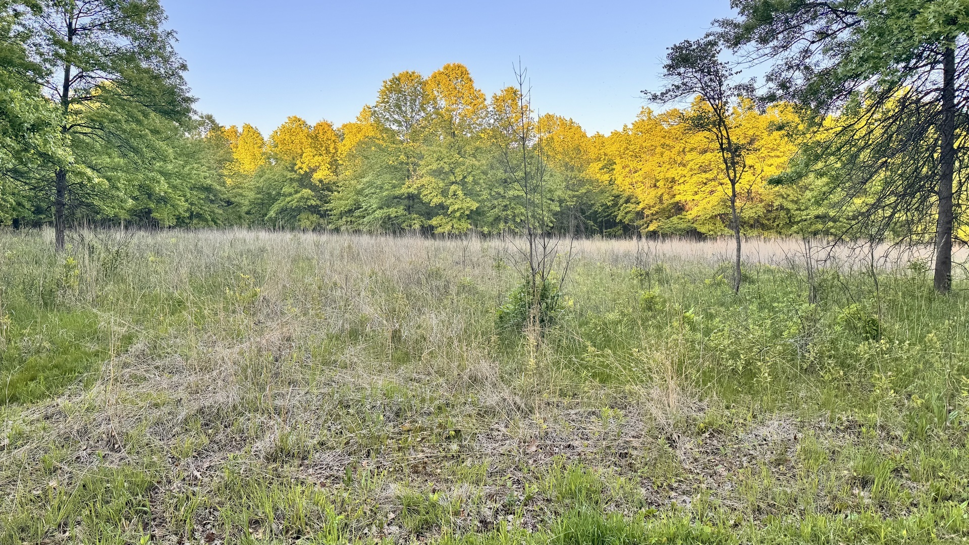 Property Photo:  904 S Hough Street  IL 60010 